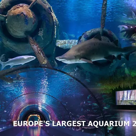 Hotel Dumlupinar Royal *